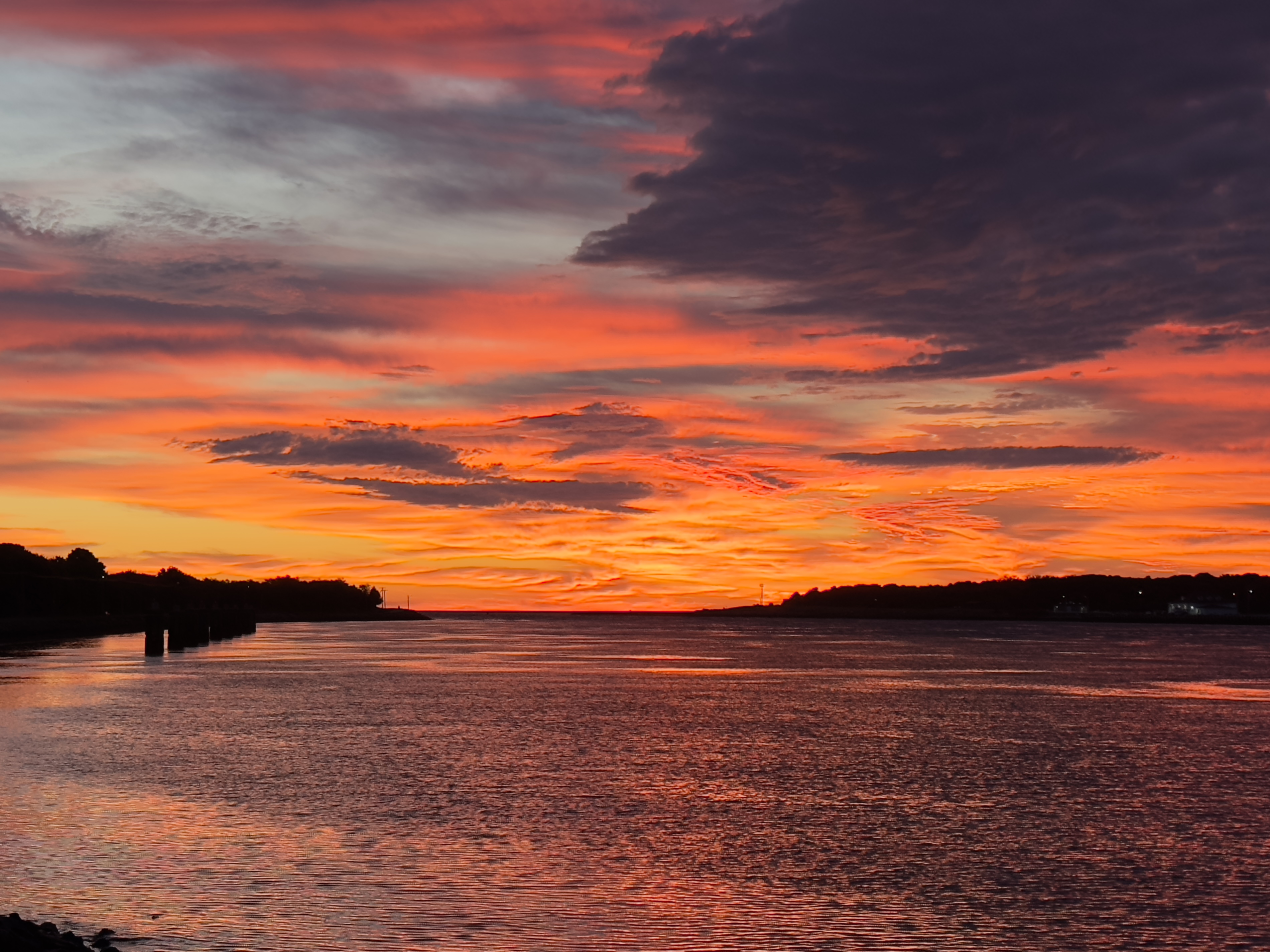 My 2025 Massachusetts Saltwater Fishing Season